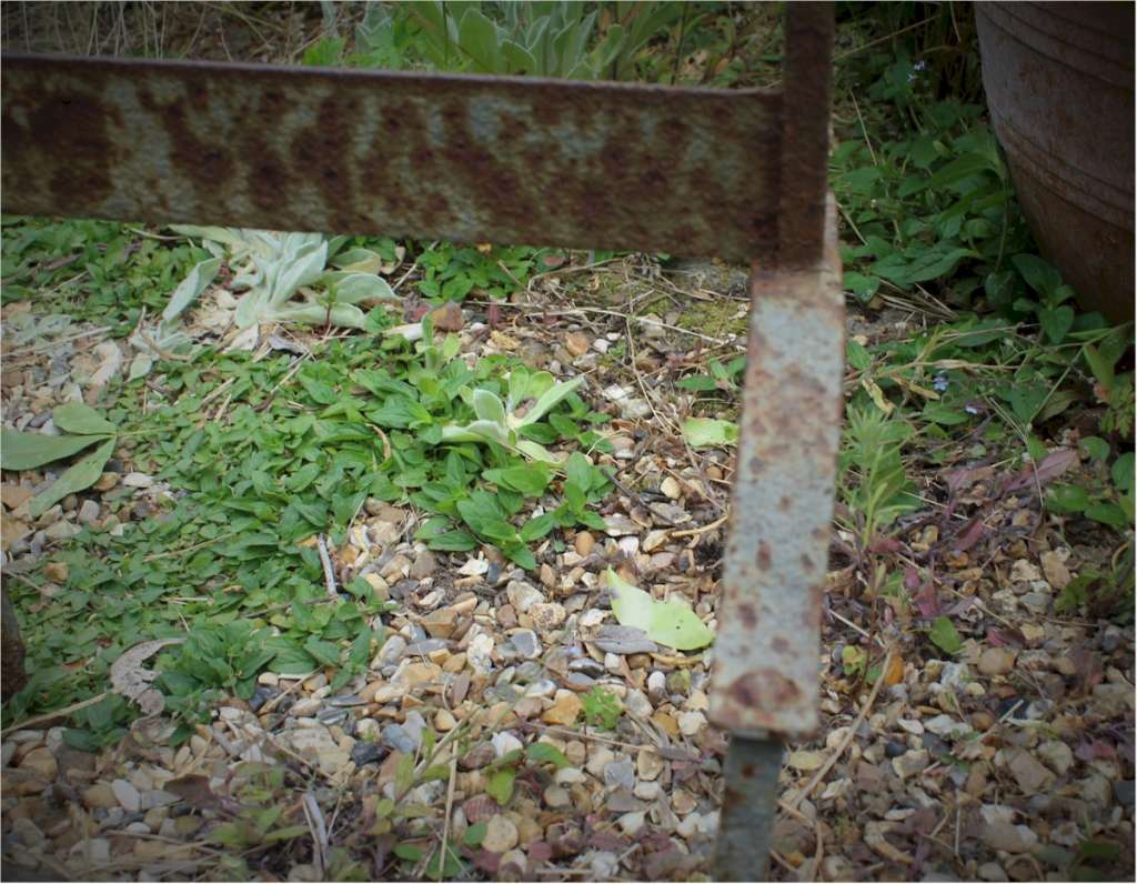 Vintage iron boot scraper