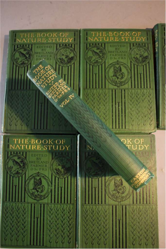 Set of Nature books with arts and crafts bindings