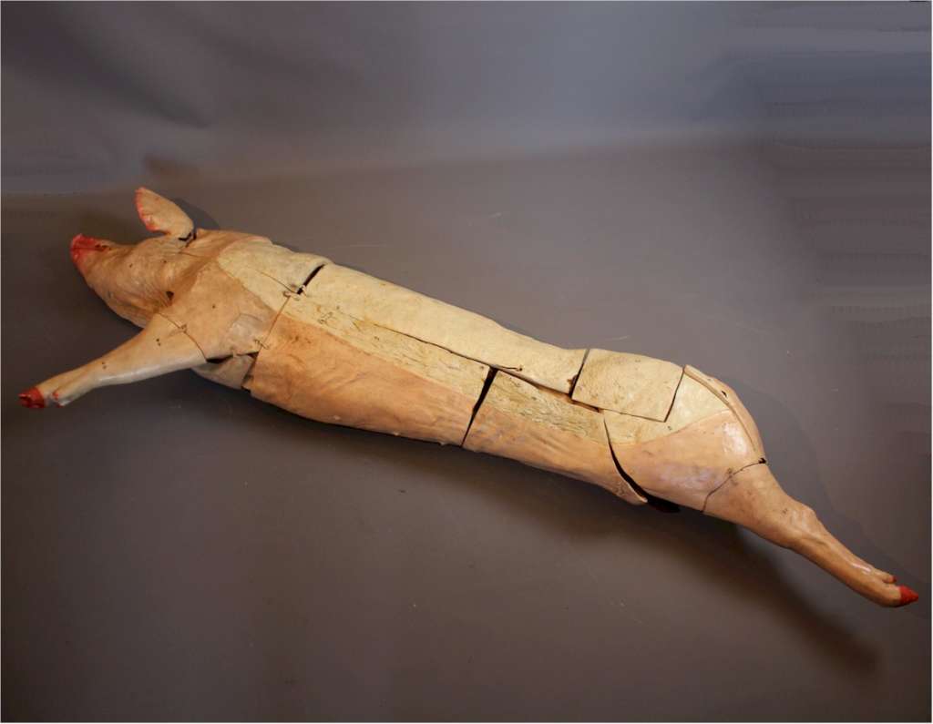Antique butchers anatomical model of a pig