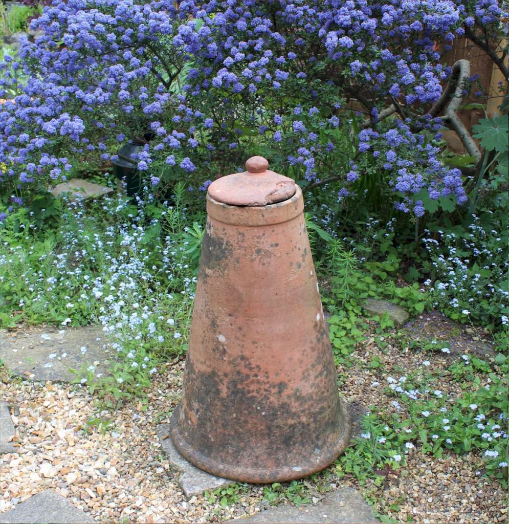 Antique garden terracotta rhubarb enforcer