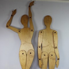 Pair of interesting articulated models of male and female