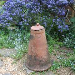 Antique garden terracotta rhubarb enforcer